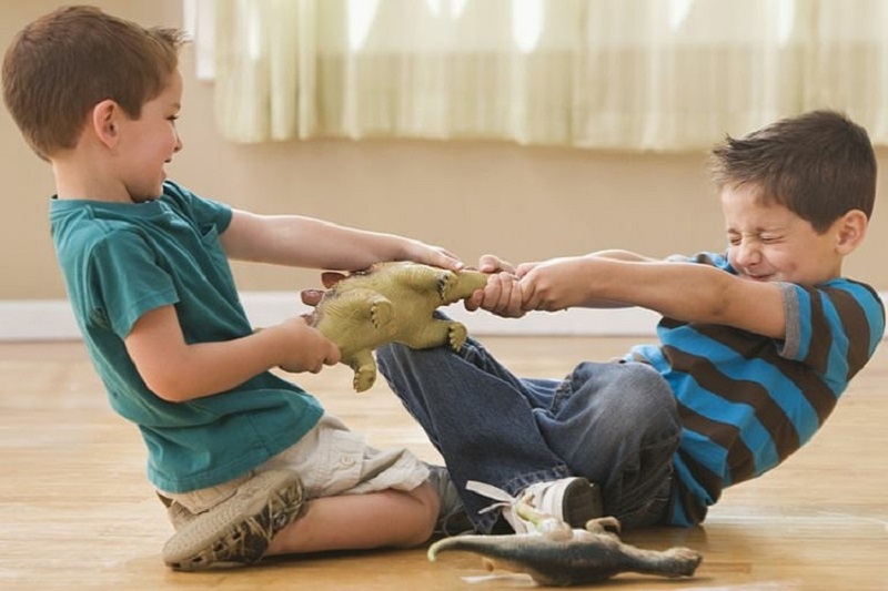 Xung đột giữa anh chị em là điều thường gặp trong gia đình